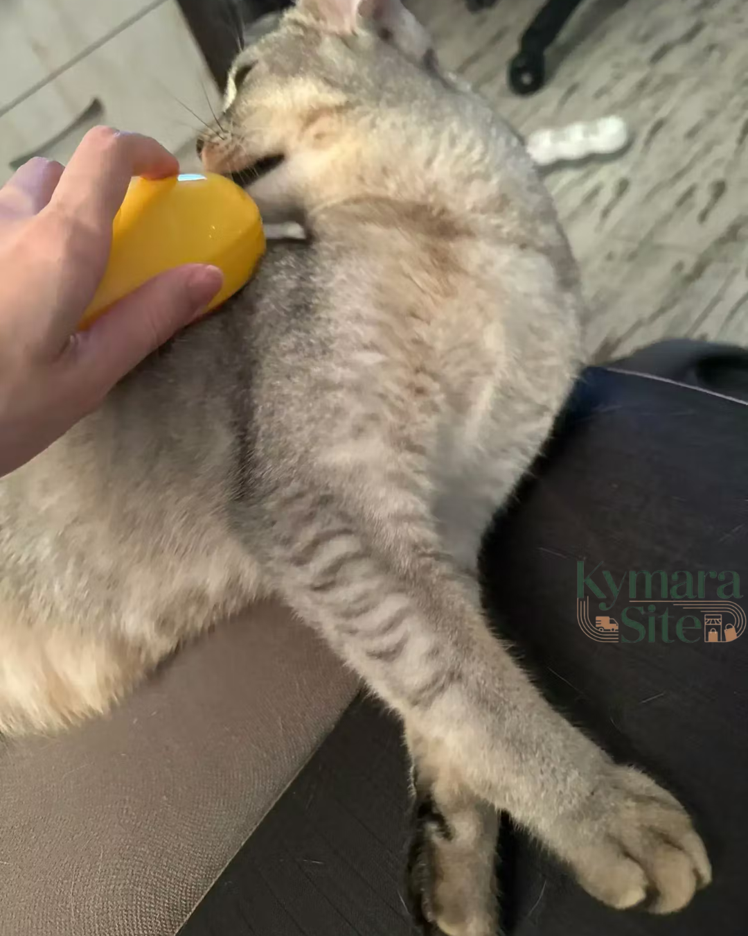 Cepillo vaporizante 3-en-1 de Mascotas